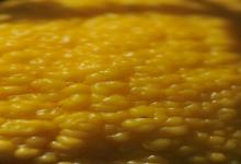 Pepite d'oro, frutti da poeti